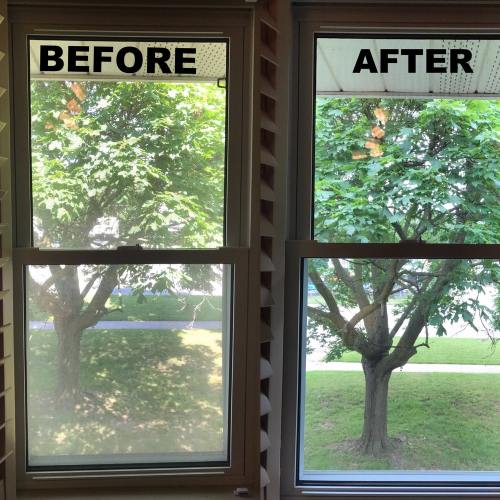 Window Cleaning Houston TX Results 3